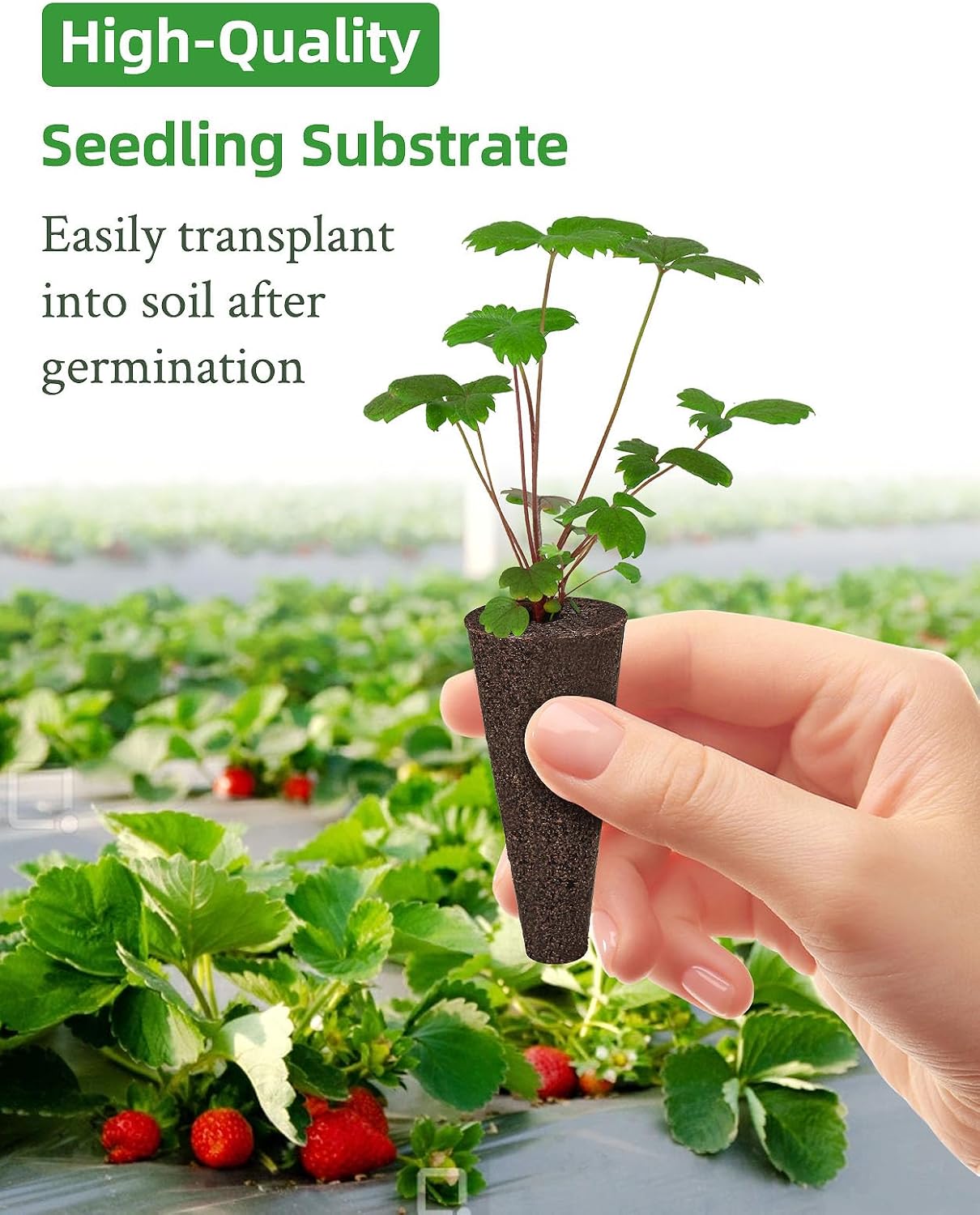240pcs Hydroponics Seed Pod Kit: 120 Grow Sponges, 120 Pod Labels - Grow Anything Kit for Indoor Garden,Compatible with
