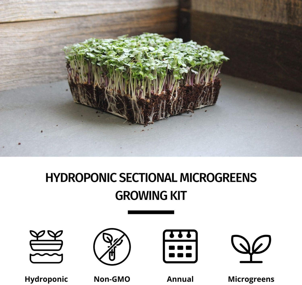 Handy Pantry Hydroponic Sectional Microgreens Growing Kit - Grow | Micro Greens & Herbs Indoor Gardening: All Supplies