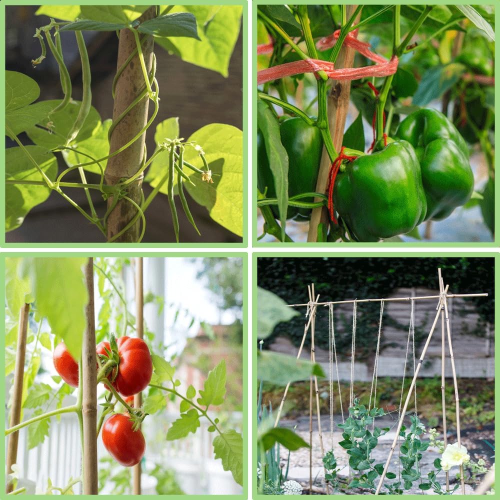 PFNRTH Bamboo Plant Stakes – 25pcs 4FT Natural Bamboo Garden Stakes | Bamboo Sticksfor Tomatoes, Peppers, Beans, Indoor