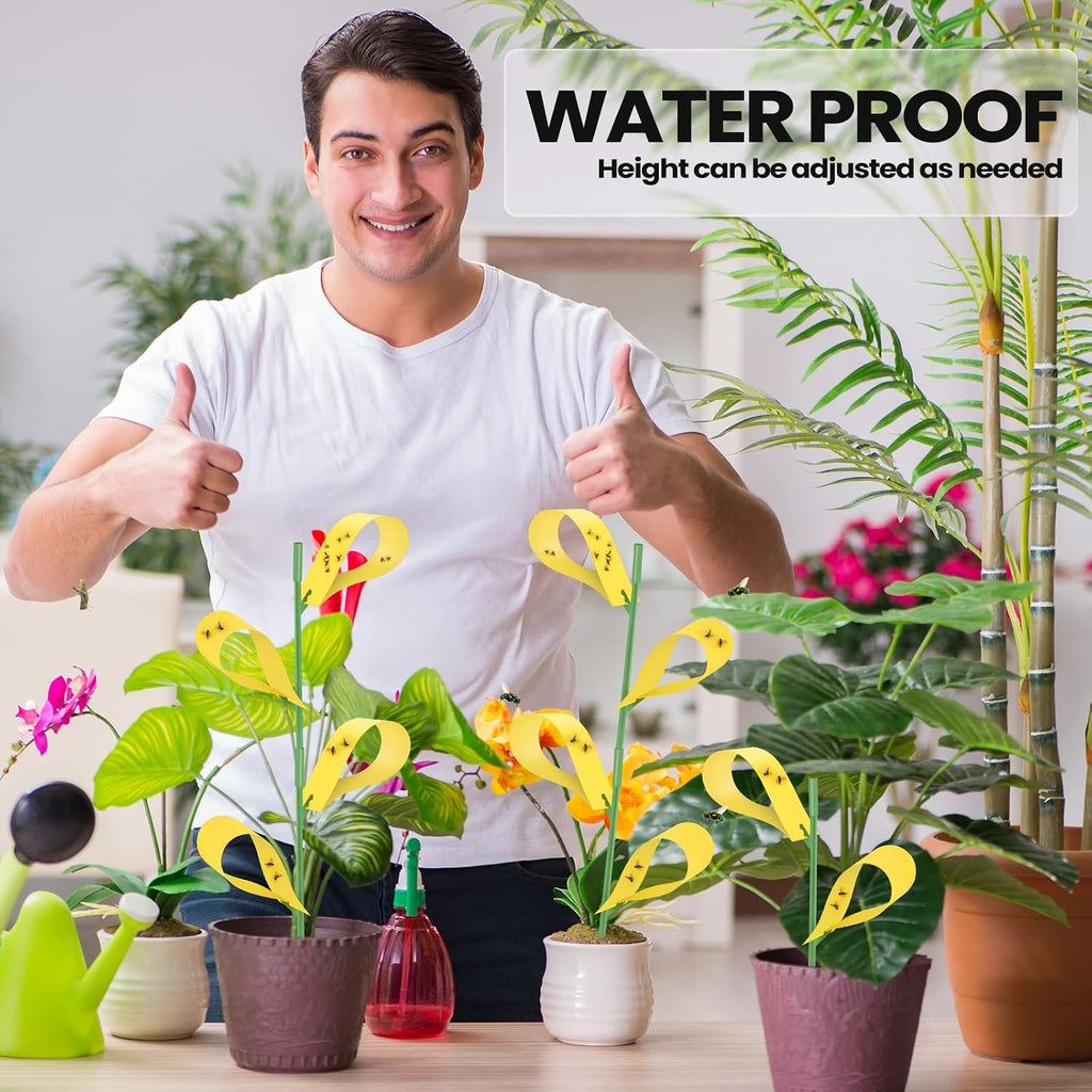 Qualirey 200 Pcs Sticky Houseplant Traps Fungus Gnat Fruit Fly Trap Sticky Houseplant Stakes Insect for Indoor Outdoor