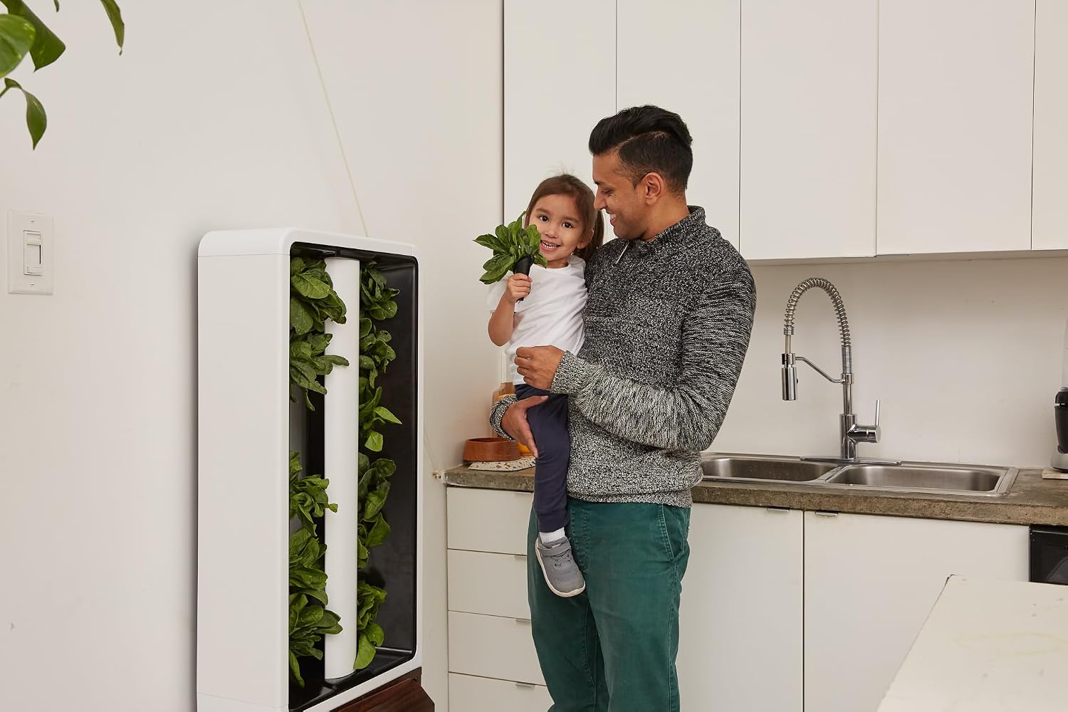 Just Vertical EVE Tower Garden Hydroponic Indoor Growing System - Grow 12 Fresh Herbs & Vegetables Year-Round