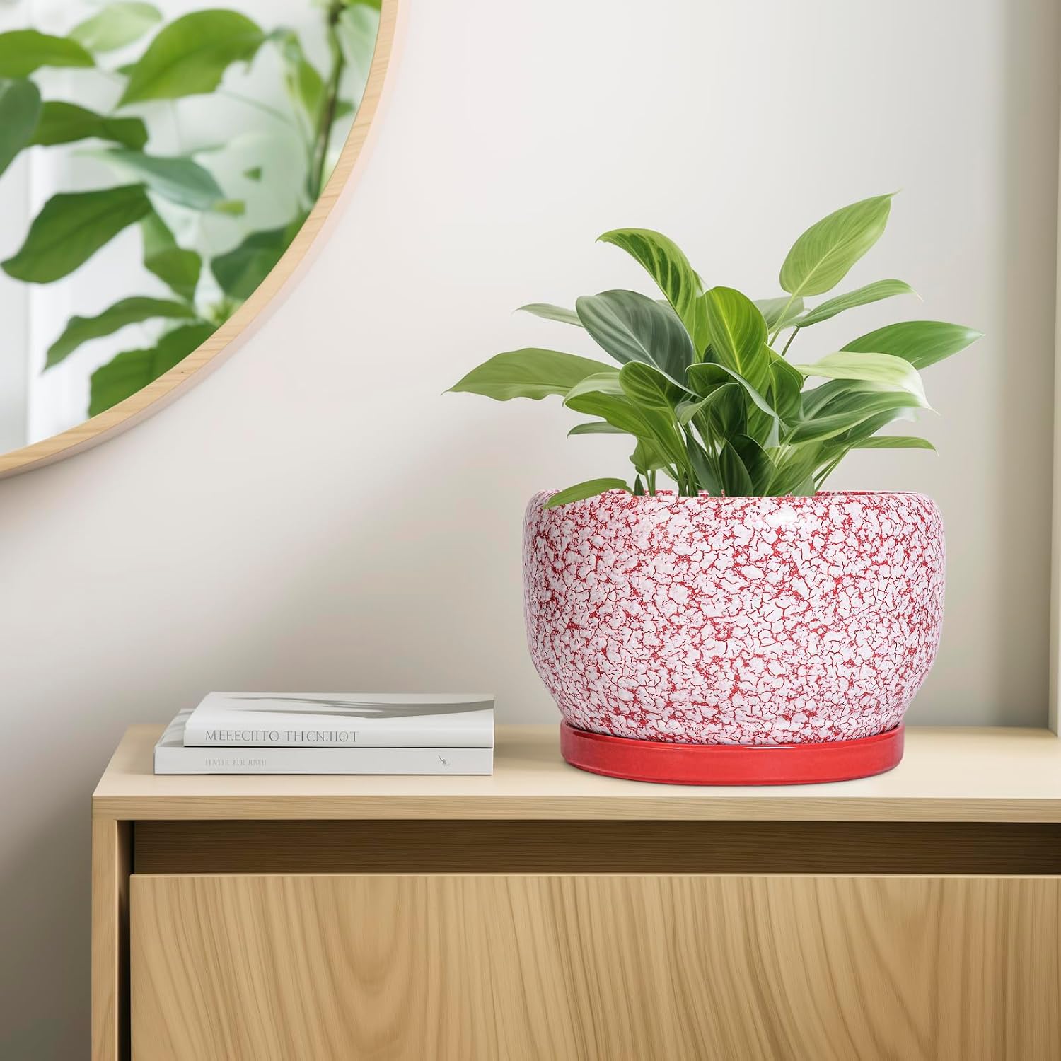 SQOWL Ceramic Planters for Indoor Plants - 10 Inch Flower Pots with Drainage Hole and Saucer, Decorative Ceramic Plant