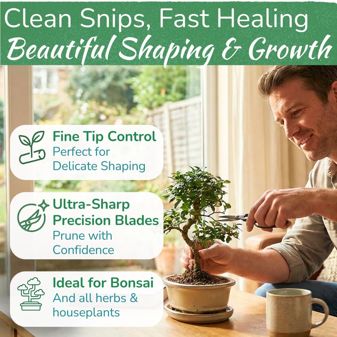 Houseplant Pruning Shears, Stainless Steel Scissors for Trimming & Notching