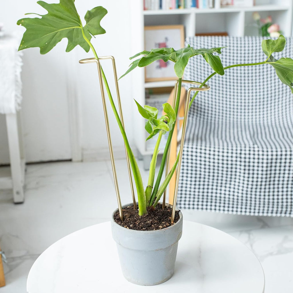 12" Monstera Support - 10 Pcs Plant Support for Indoor Plants | Indoor Plant Trellis & Stakes, Monstera Support Ring