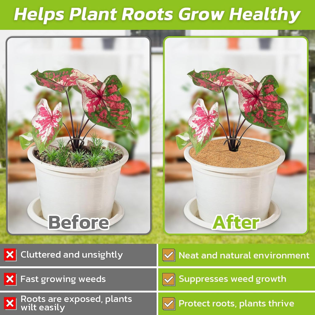 6 Pack Coconut Fiber Mulch Ring Tree Plant Protector Mat, 18 Inch | Natural Coco Coir Tree Mulch Ring Plant Pot Soil