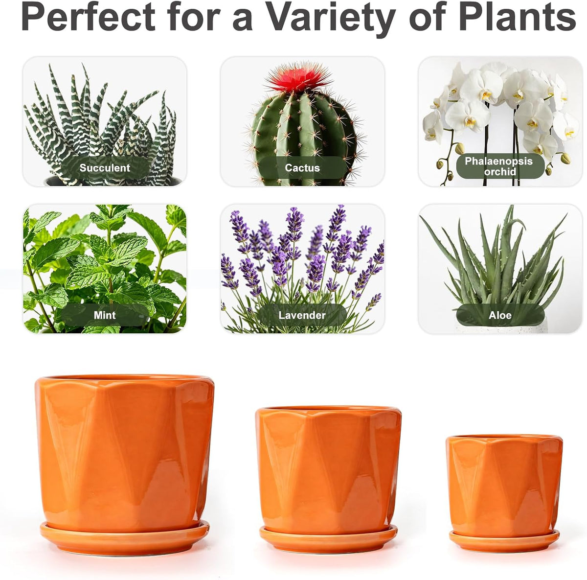 Ceramic Plant Pots Set of 3, Indoor Planter with Drainage Holes and Saucers | Orange Flower Pots for Indoor Plants