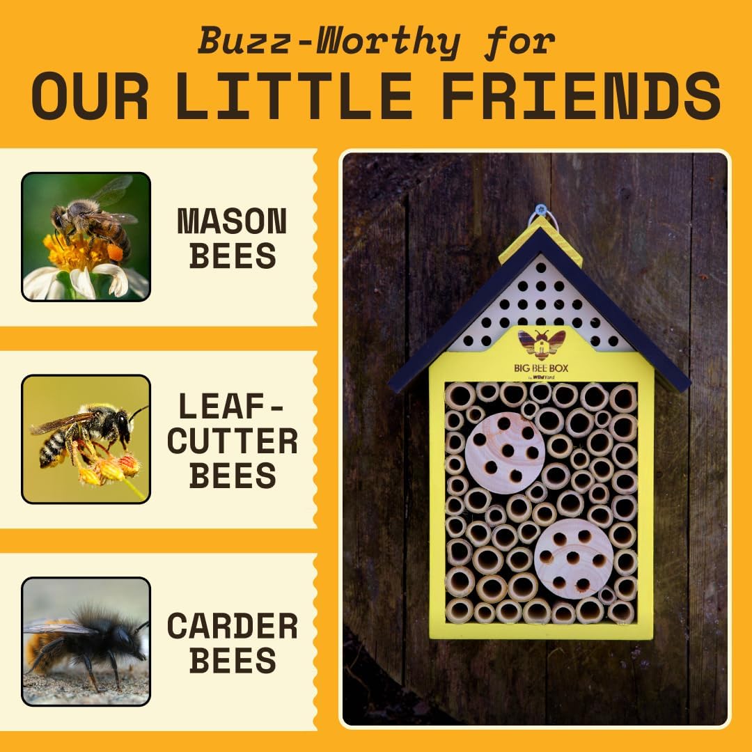 Bee House for Garden - Yellow with Nesting Tubes, Easy Mount | Wooden pollinator hotel with removable nesting tubes