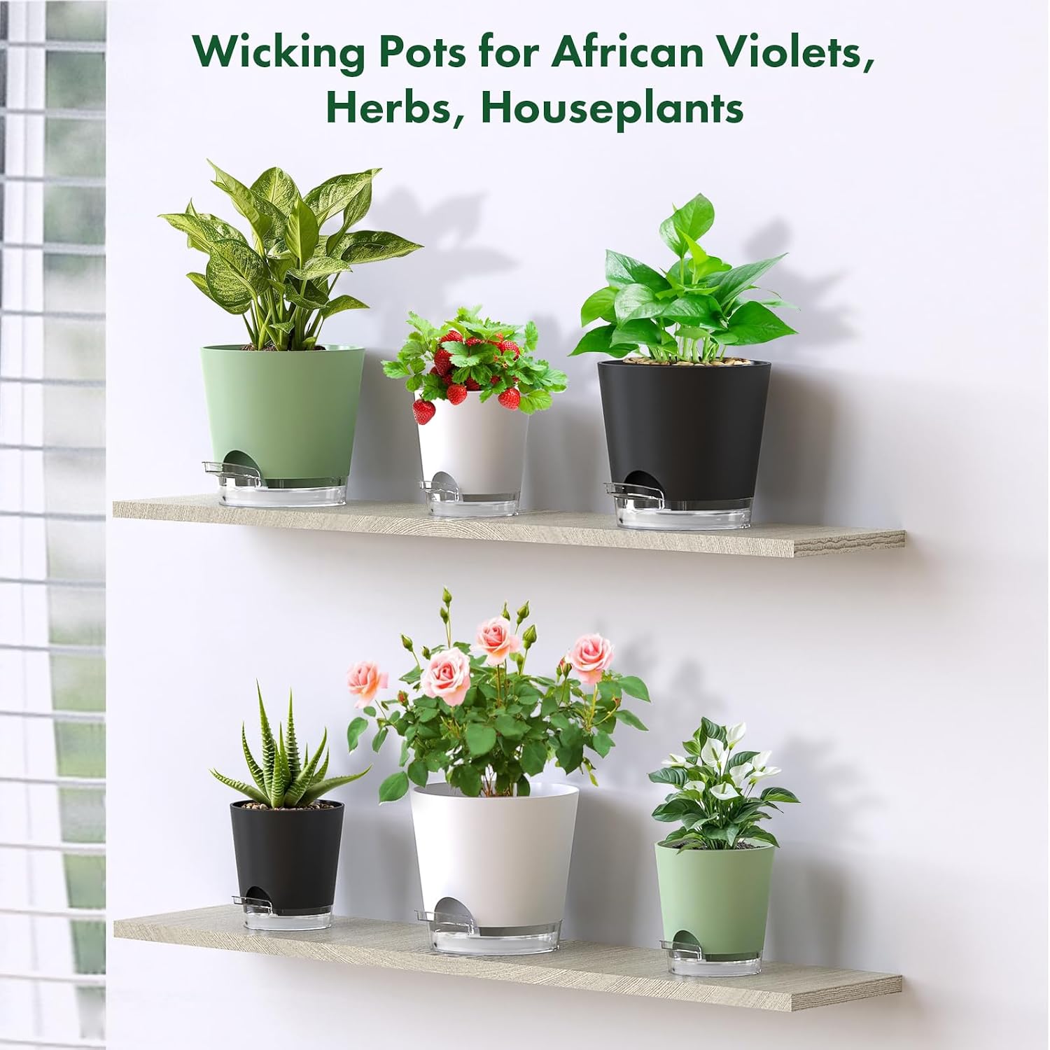 Meowell 7 inch Self Watering Pots for Indoor Plants, 5 Pack Plant Pots with Drainage Holes & Clear Reservoir for