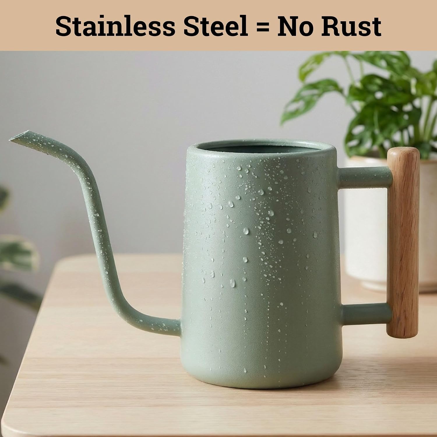 Metal Small Indoor Watering Can with Long Spout & Real Wood Handle, 35oz | Long Spout, Stainless Steel, Real Wood