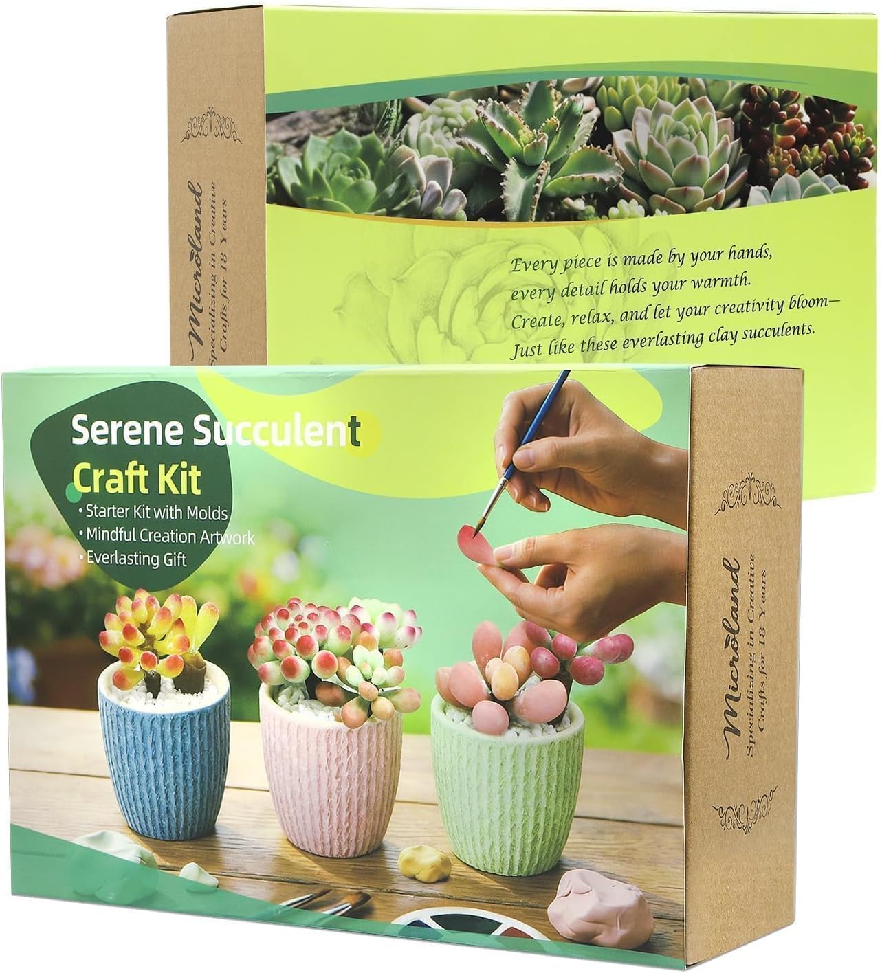 Microland Crafts for Teens Succulents Flower Making Clay Kit Creative Gifts | Crafty Gift w/ Pots & 60+ Tools