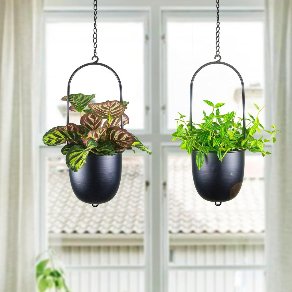 Metal Hanging Planters Set of 2 with 6 Inch Oval Pots - Stackable and Connectable Plant Hangers - Black Modular Wall