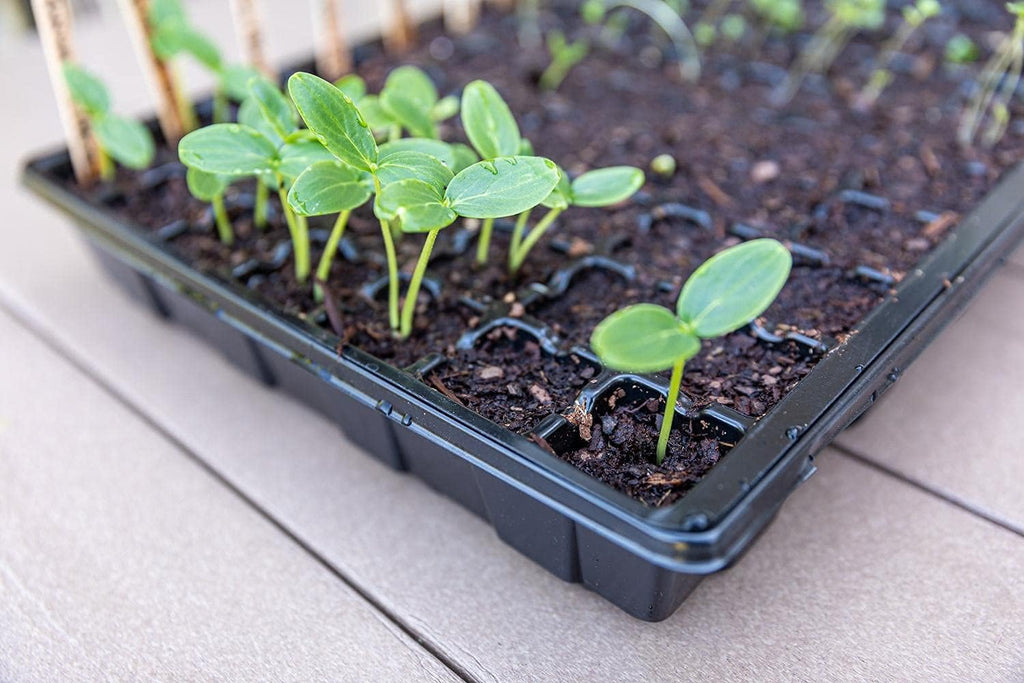 Gardzen Seed Starter Tray, 5 Pack Smiling Face Plant Germination Trays with Total 350-Cell, Seed Starter Kit with