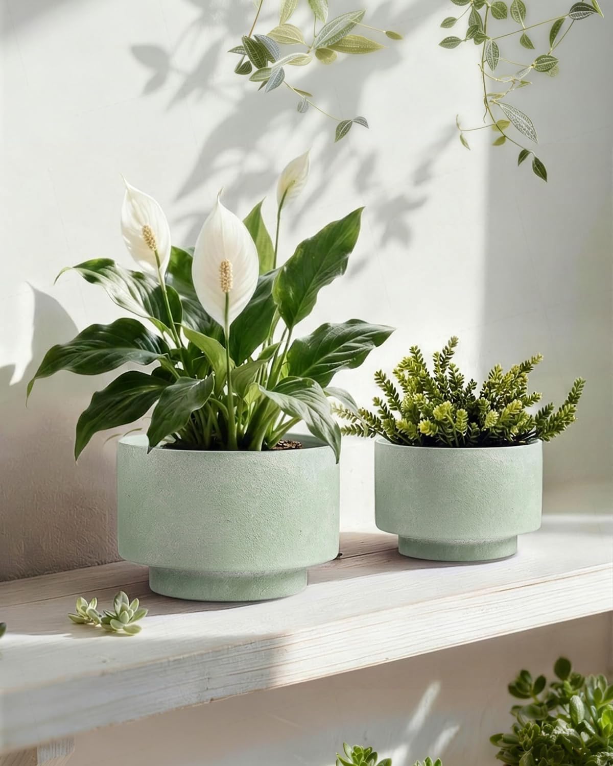 Succulent Pots, 8"+6" Plant Pots, Ceramic Planters for Indoor Plants | 2-piece set with drainage holes, hand-painted