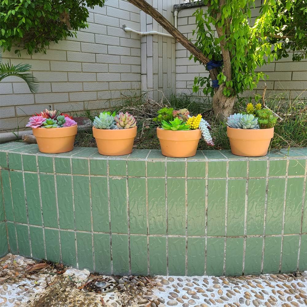 Yishang 6 Inch Terracotta Shallow Planters,Ceramic Flower Clay Plant Pots with Drainage Hole,Unglazed Cactus/succlent