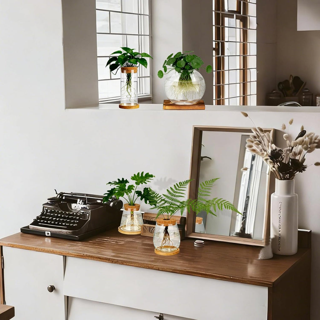 6 Pcs Plants Propagation Stations Glass Planter Terrariums with Wooden Lid and Bamboo Stand Desktop Propagation Vases