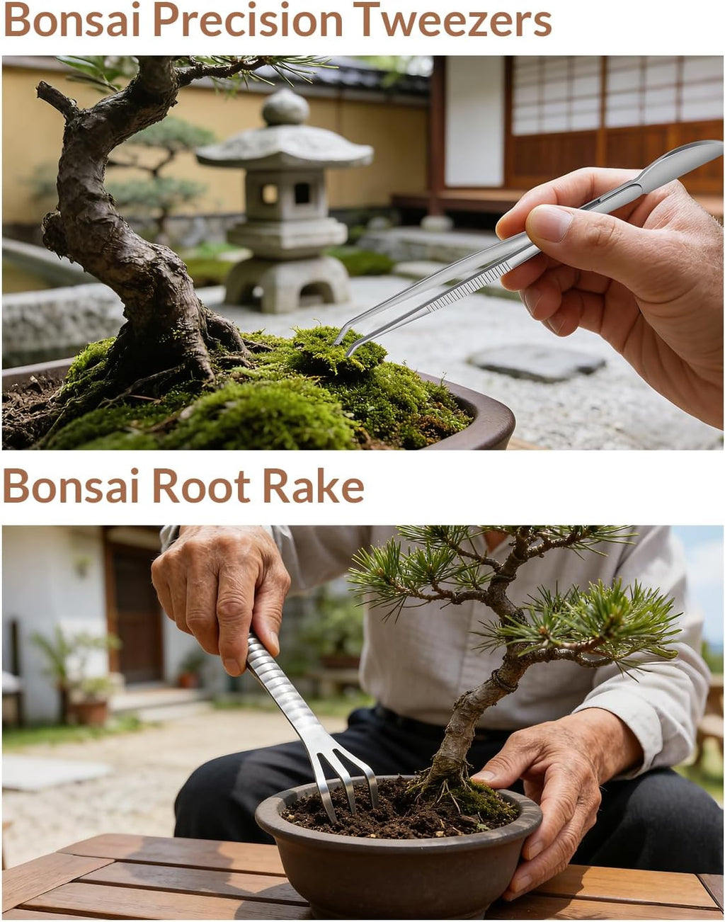 Bonsai Tool Set 6PCS with Wood Box, Stainless Steel Bonsai Tools | Concave Cutter, Knob Cutter, Pruning Shears, Trunk