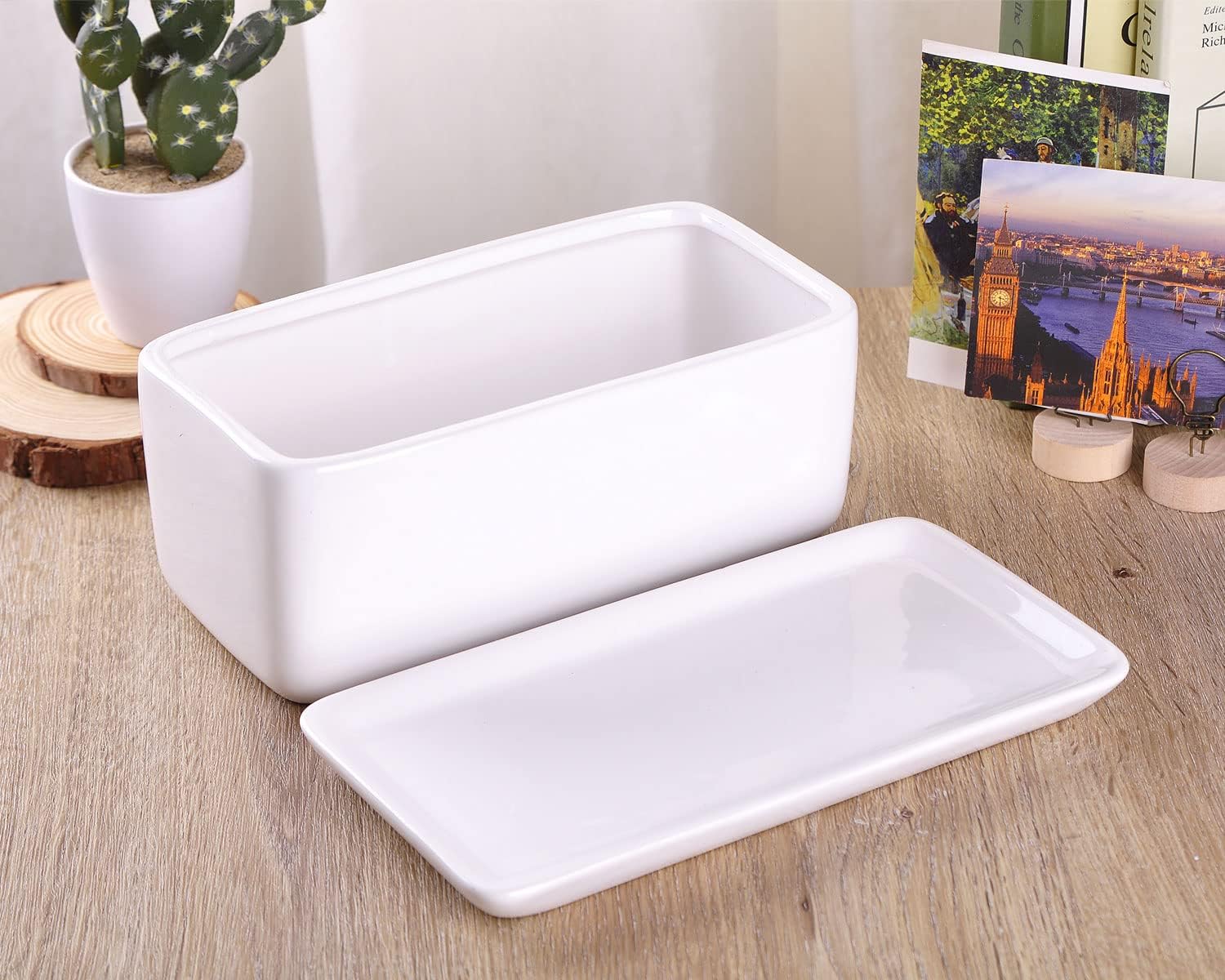 VanEnjoy 10 Inch White Rectangle Ceramic Succulent Planter Pot Decorative Cactus Plant Pot Flower Container with