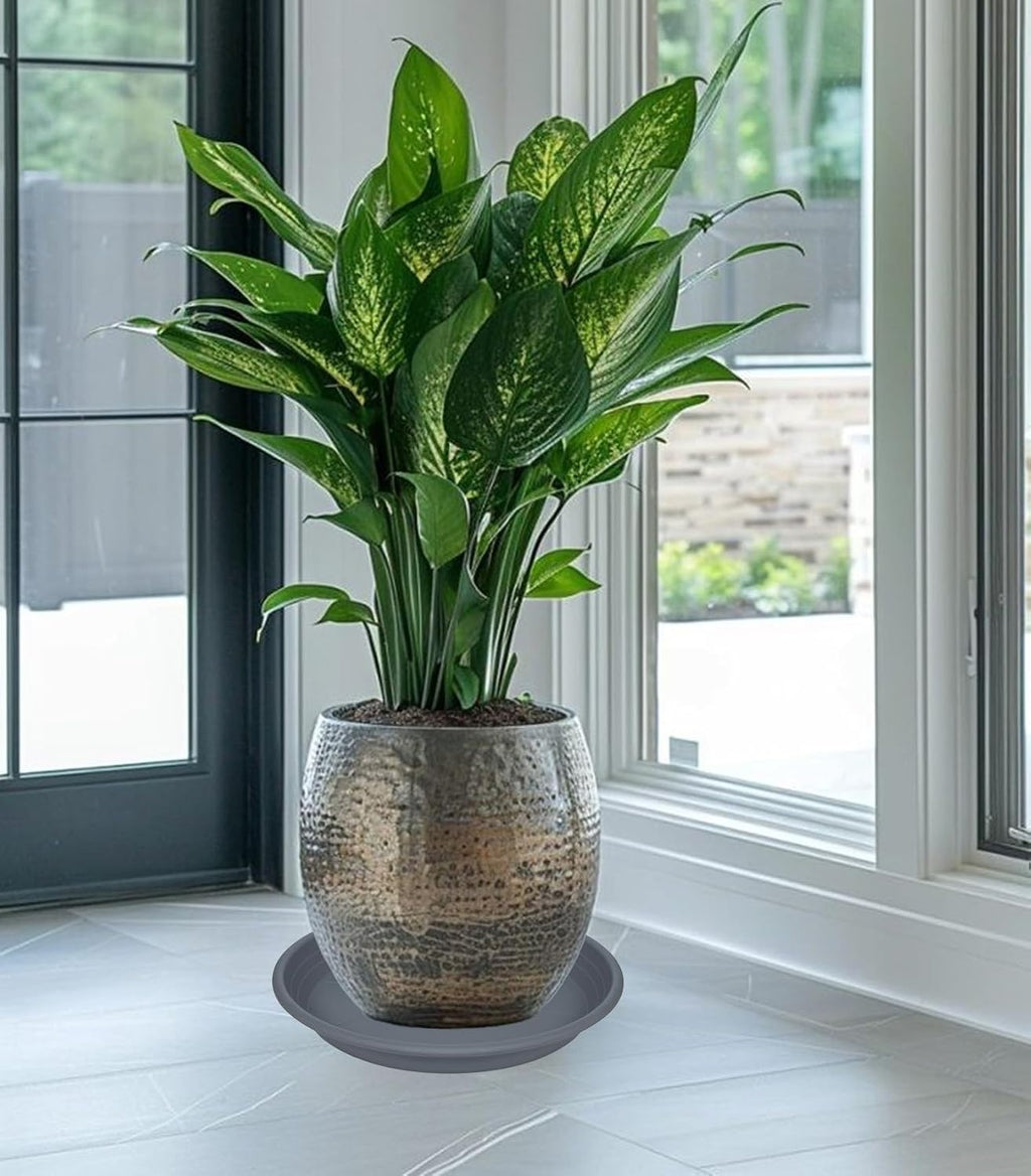 2 Pack of 19 inch Plant Saucer, Large Plant Tray, Heavy Sturdy Plant Drainage Tray for Indoors, Bird Bath Bowls, Sturdy