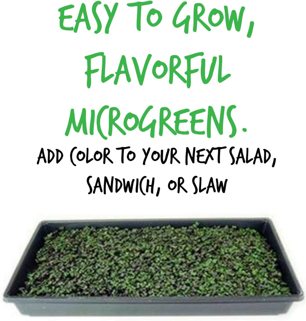 Mountain Valley Seed Co Red Acre Cabbage Microgreens & Sprouting Seeds 1 Lb | Non-GMO, Chemical-Free – High-Germination