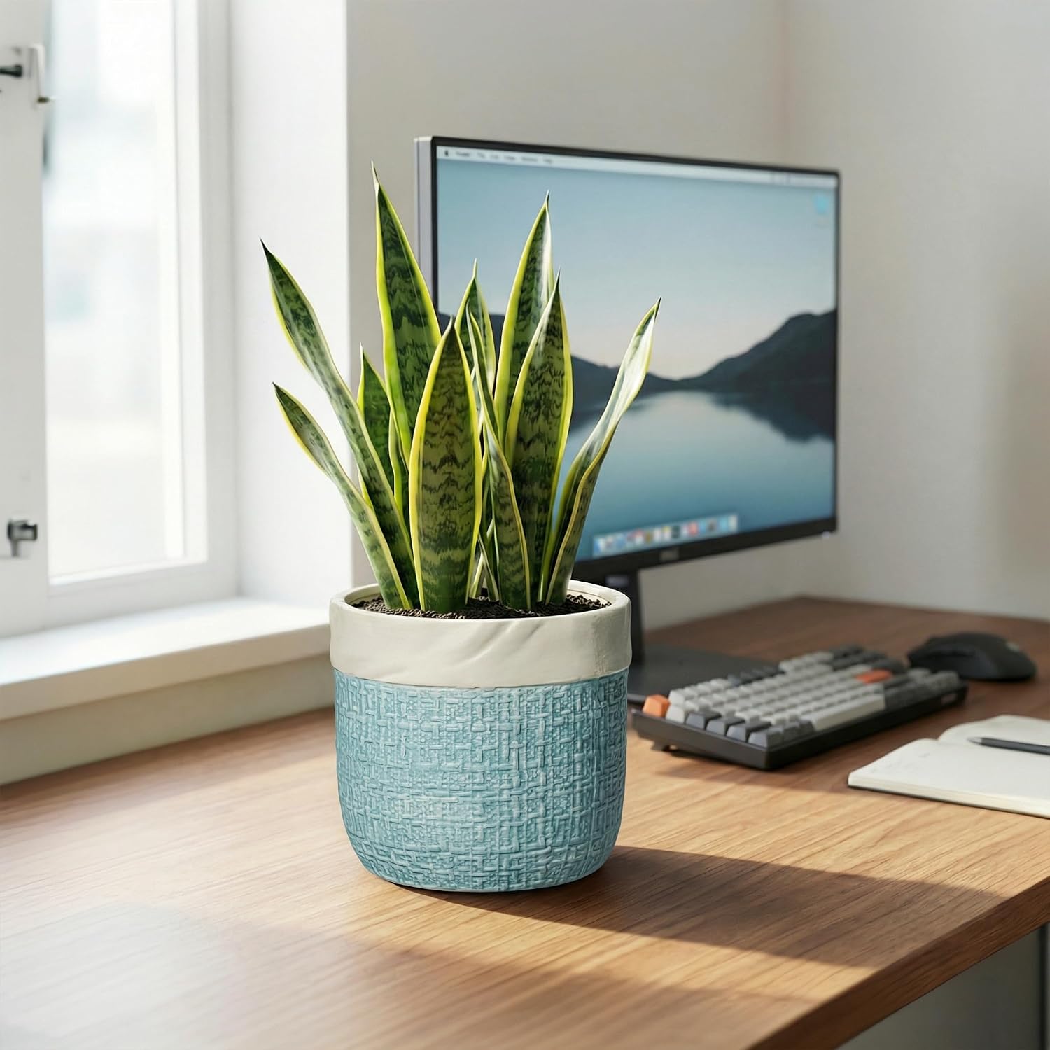 Ceramic Pots for Plants - 6 Inch Plant Pot for Indoor Succulent Plants, Round Planters with Drainage Hole, Decorative