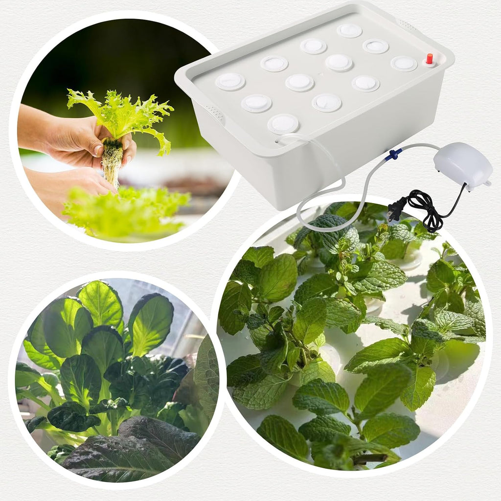 NATGAI Hydroponic System Growing Kit with Air Pump 12 Holes Soilless | Cultivation Grow Box Garden Cabinet Box for