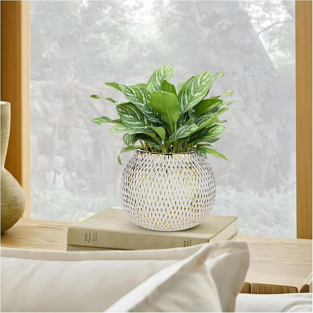 Ceramic Plant Pots for Plants Indoor 6.1 Inch Round Gold and White Flower Pot Gilded Decorative Planter with Drainage