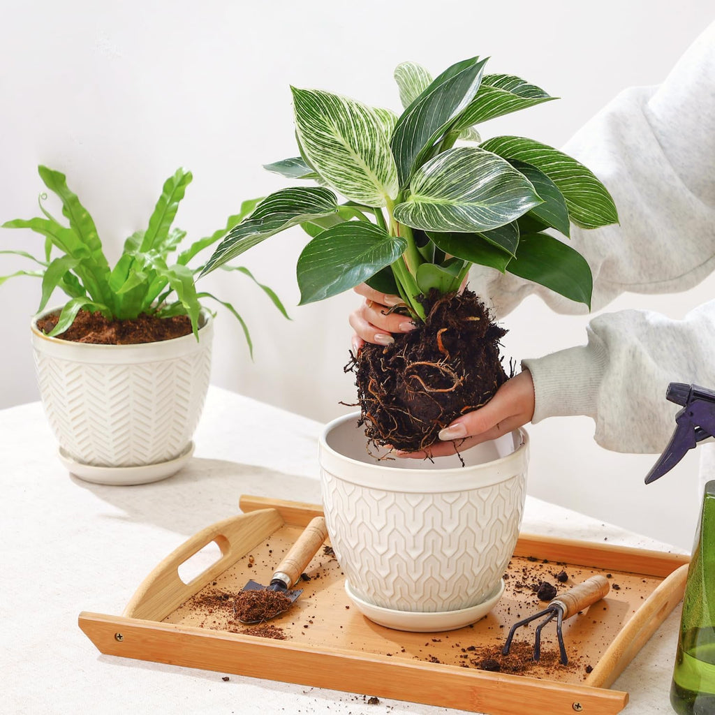 Sureasy 6.5 Inch Ceramic Plant Pots, Embossed Decorative Planters with Drainage Hole and Saucer, Modern Flower Pots for