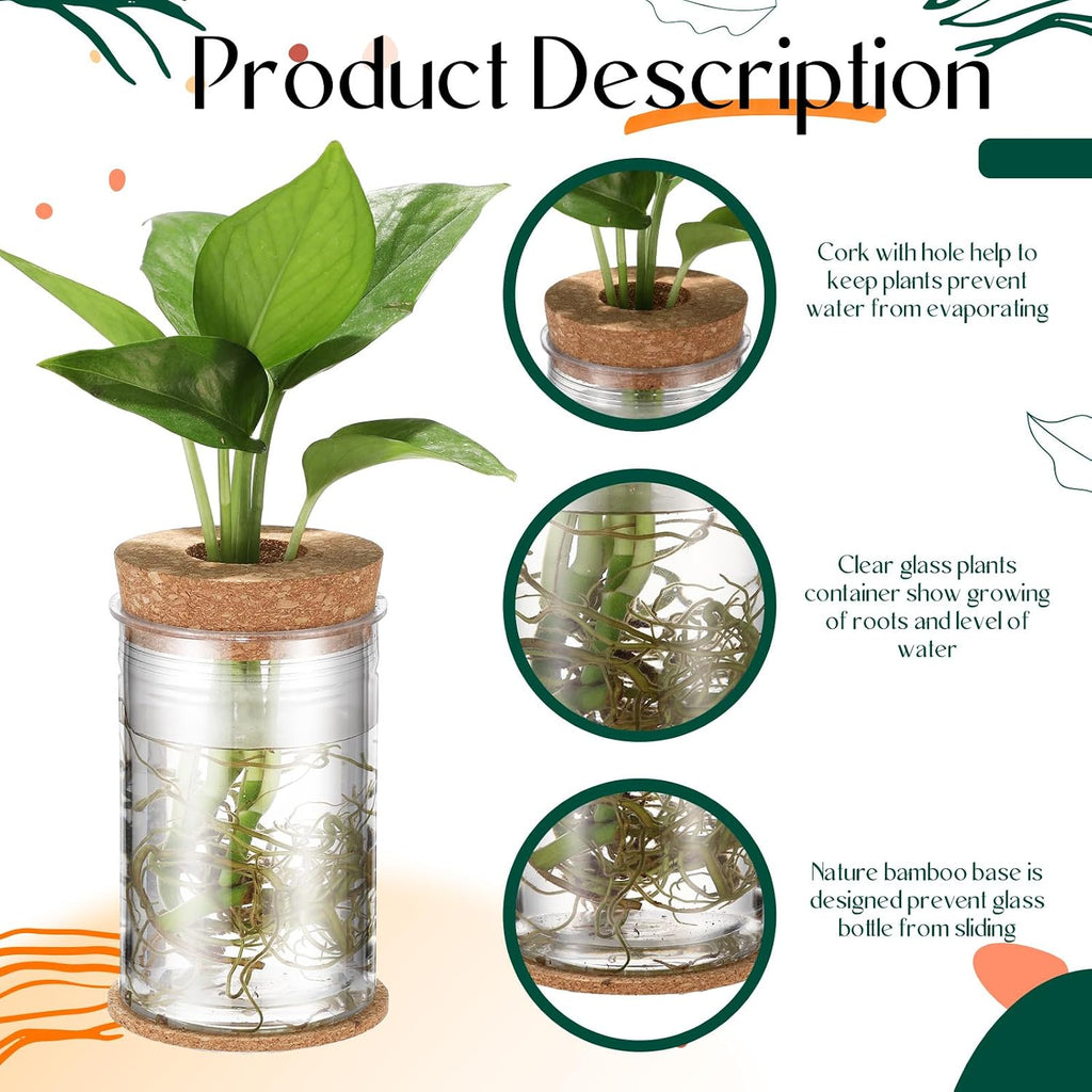 24 Packs Plastic Desktop Plant Terrariums Propagation Planter Tabletop Planting Vase with Lid and Cork Plant Coasters