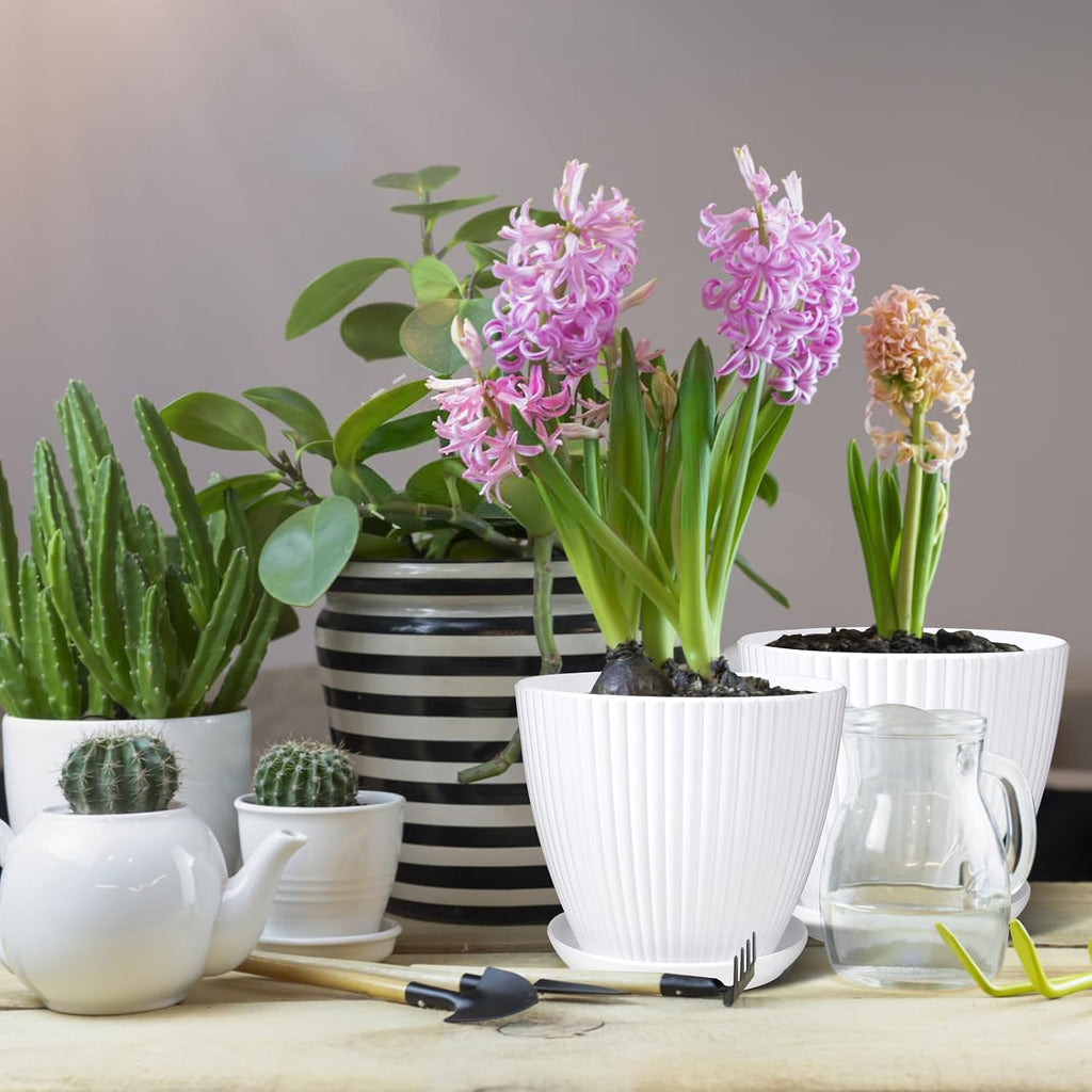 7 Inch Large Plant Pots, 6 Pack Flower Pots with Drainage Hole and Tray Saucer Plastic Plant Pot for Outdoor Indoor