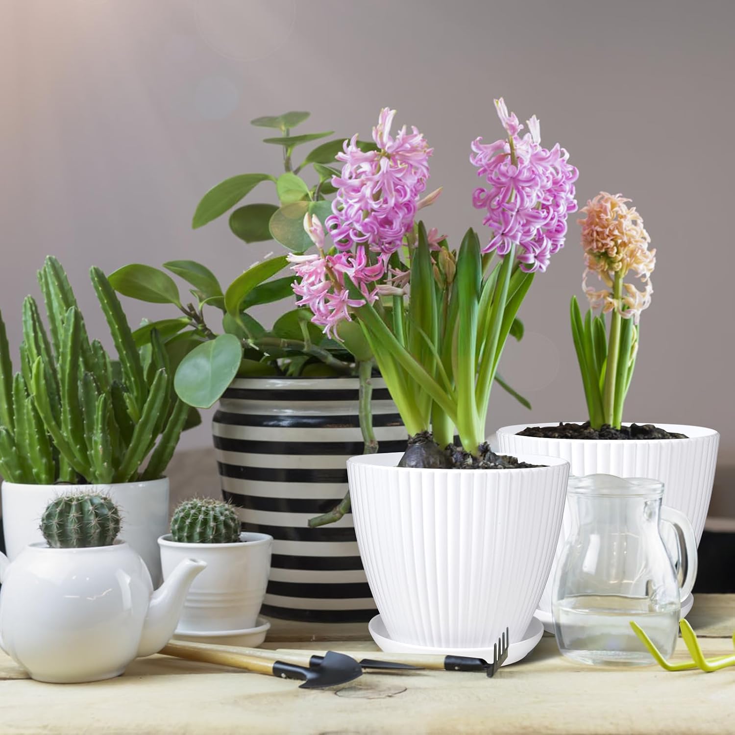 7 Inch Large Plant Pots, 6 Pack Flower Pots with Drainage Hole and Tray Saucer Plastic Plant Pot for Outdoor Indoor