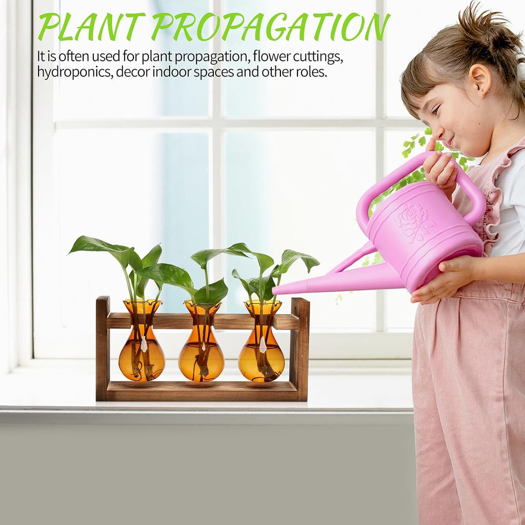 Plant Propagation Station Plant Terrarium Unique Birthday Gifts for Women | Plant Lovers Home Office Decor Planter with
