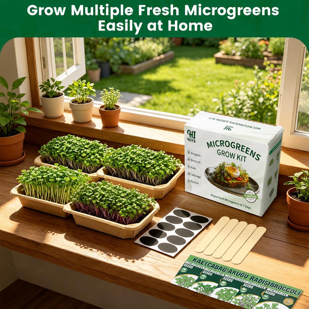 Microgreens Growing Kit Indoor Garden - Complete Micro Greens Growing Kits with 5 Seed Packs - Grow Broccoli, Arugula