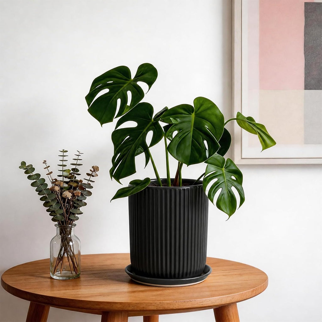 Deep Dream 8 Inch Ceramic Pots for Plants, Heavy Plant Pot for Indoor Outdoor Plants, Large Plant Pot with Drainage