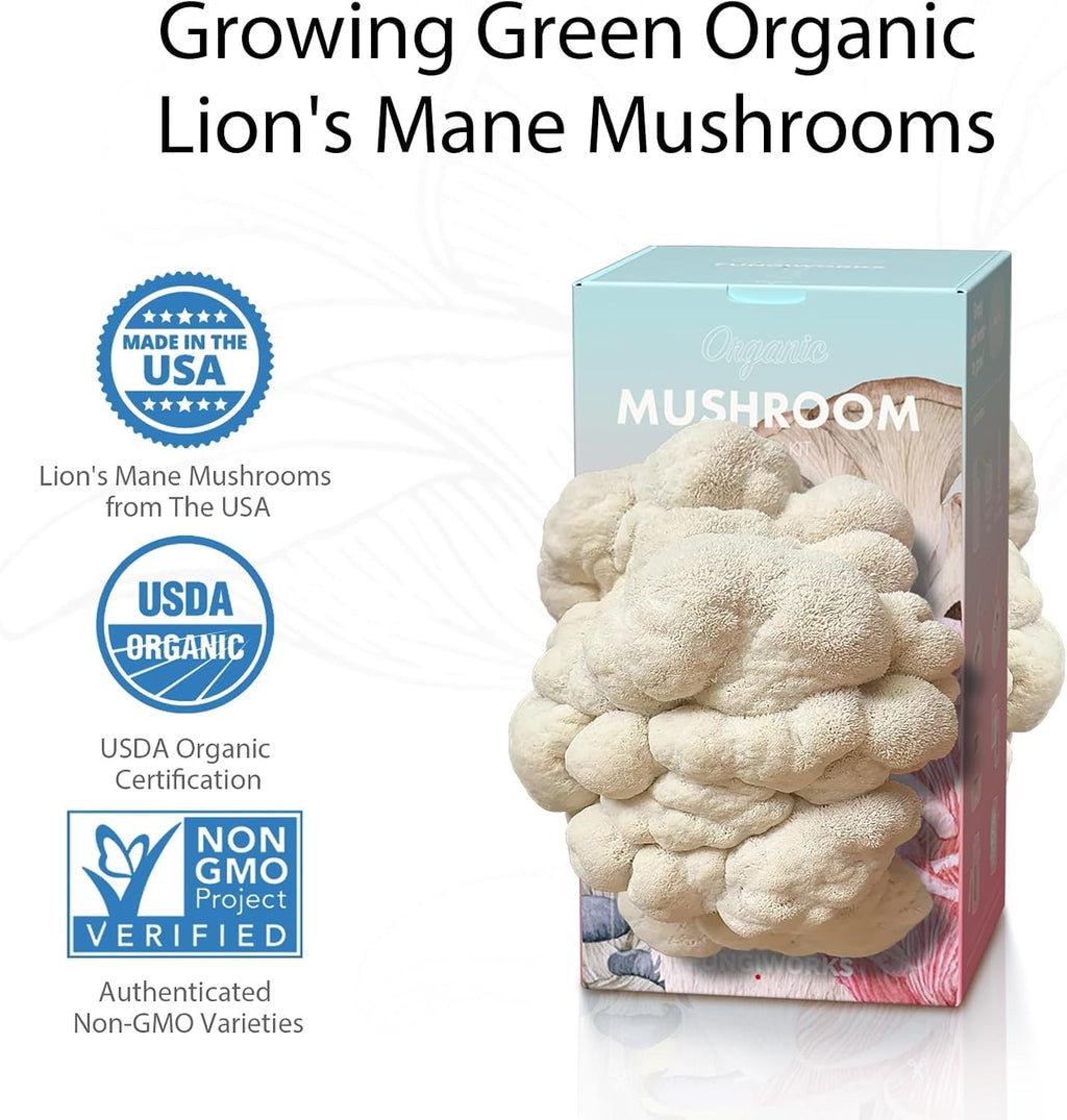 USA Organic 4lbs Lion's Mane Mushroom Growing Kit, Non-GMO | Double-Side Mushroom Grow Kit, Harvest Gourmet Mushrooms