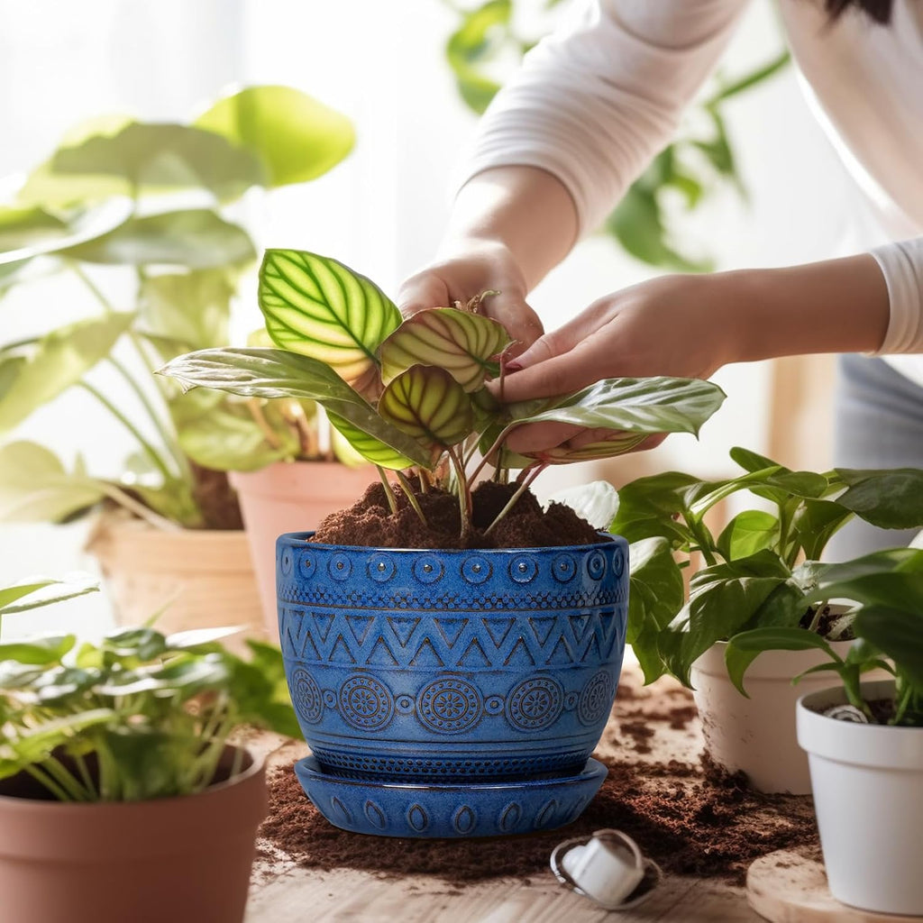 G EPGardening Pot for Plants 5 Inch - Ceramic Planter for Indoor Plants Outdoor, Succulent Pot with Drainage Hole and