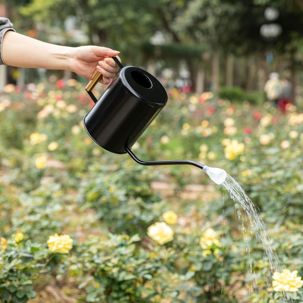 L&H Unico Stainless Steel 62oz Watering Can Long Spout Plant Misters for Indoor Plant Watering or Outdoor Gardening