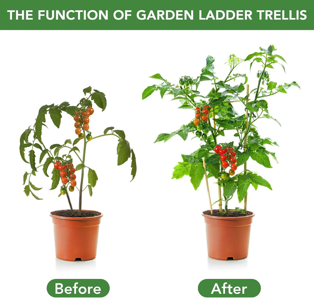 SWANGSA 6 Pack Bamboo Trellis 24 Inches for Climbing Plants, Fan-Shaped Bamboo Plant Trellis Cucumber Tomato Trellis
