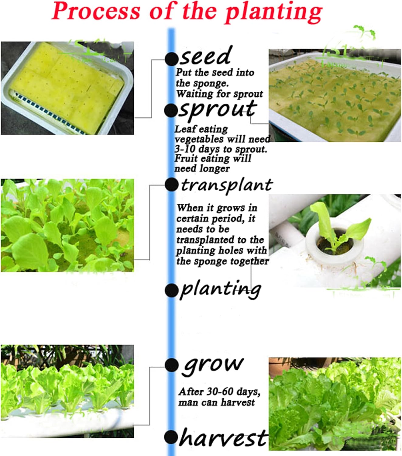 Hydroponic Growing System 20 Plant Site Hydroponics Gardening Grow 2 Layers 2 Rows 4 Tubes Planting System with Water