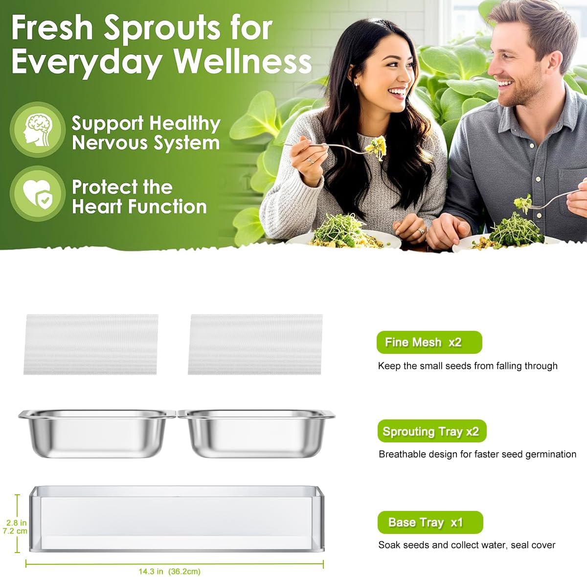 FANHAO Upgraded Visual Seed Sprouter Tray, Stainless Steel Soil-Free Cultivation Germination Tray with Acrylic Base