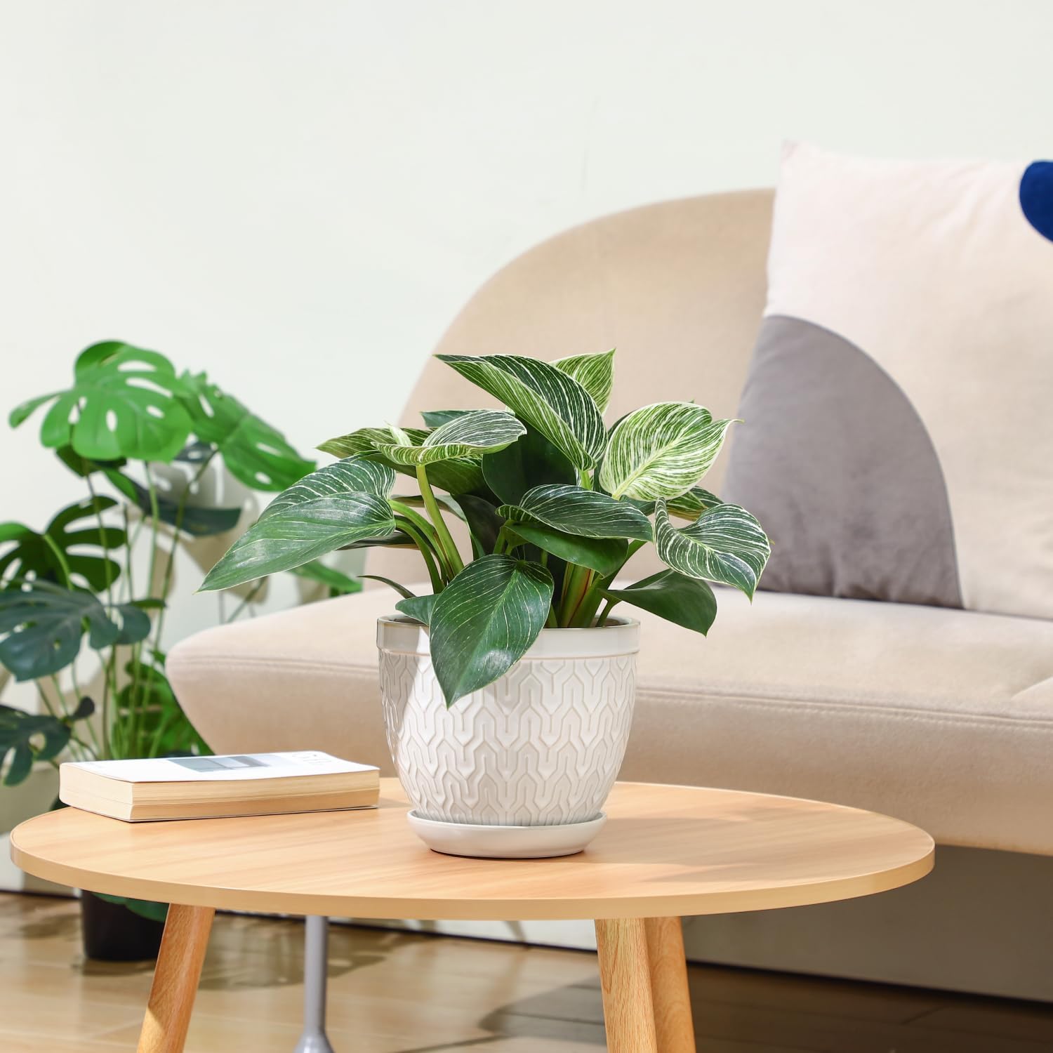 Sureasy 6.5 Inch Ceramic Plant Pots, Embossed Decorative Planters with Drainage Hole and Saucer, Modern Flower Pots for