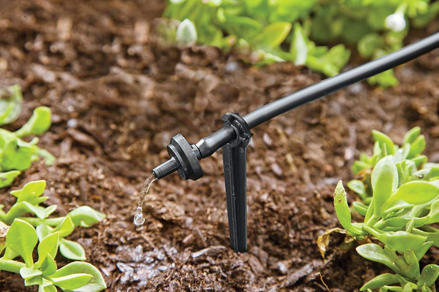 Raindrip R560DP Drip Watering System, Automatic Drip Irrigation System with Timer for Containers and Hanging Baskets