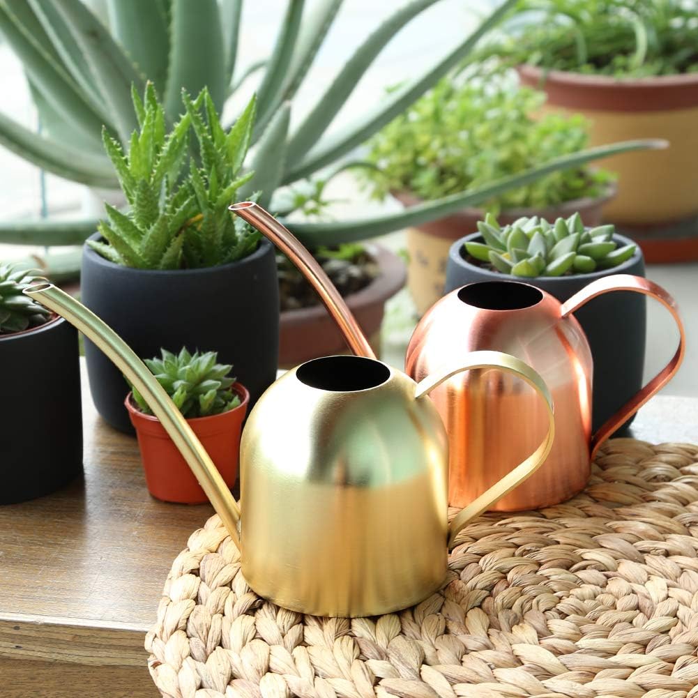 Rose Gold Watering Can for Indoor Plants, 450ml/15oz | Rose gold finish adds style while the long spout waters roots