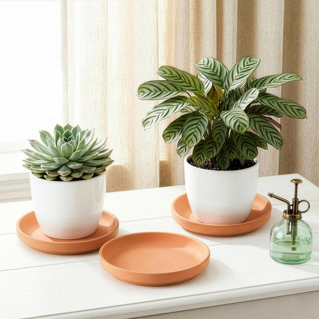 4 Pack Terracotta Plant Saucer Pots Tray, 9 Inch Large Round Planter Saucers for 8 Inch 8.5 Inch 9 Inch Flower Pot with