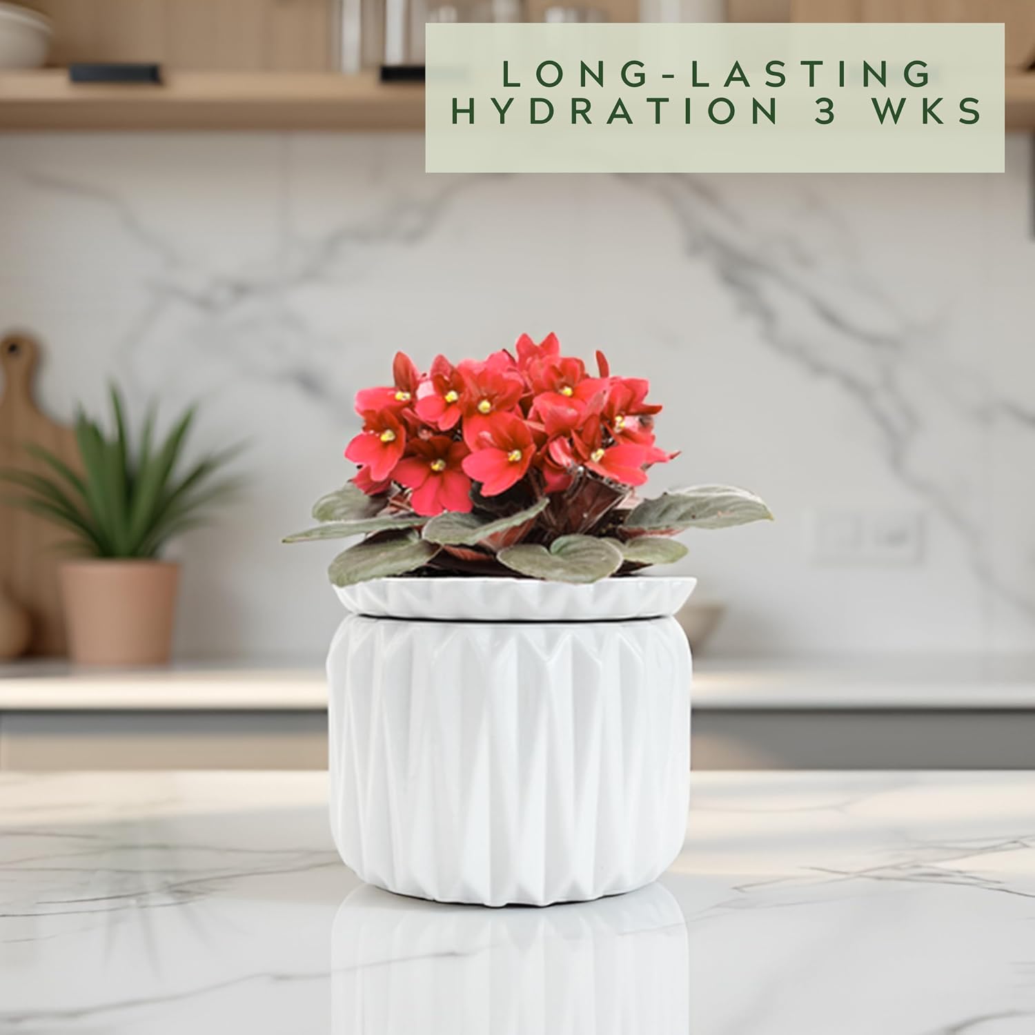 6 Inch African Violet Pots Self Watering, Ceramic Planter with Water Reservoir and Fill Lines, 4 Inch Opening, Indoor