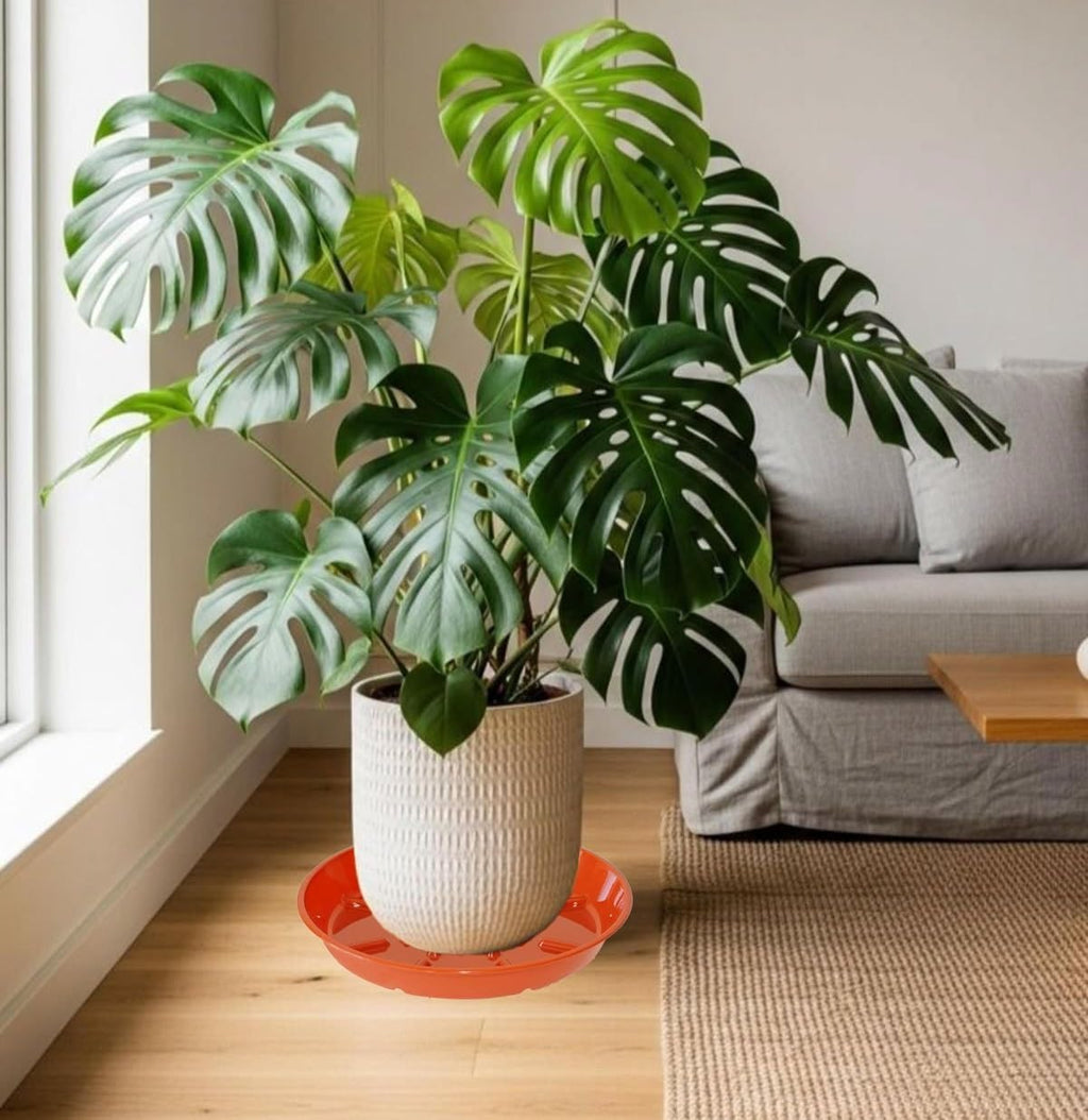 4 Pack of 14 inch Plant Saucer Plant Tray, Plastic Plant Saucer, Plant Tray for Pots, Plant Saucers for Indoors
