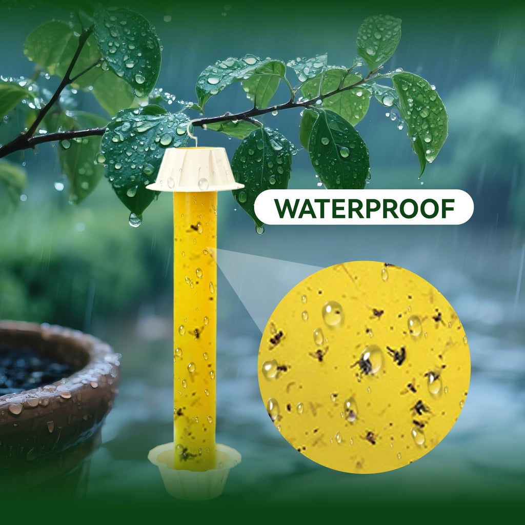 Gideal 6-Pack Yellow Sticky Traps for Indoor/Outdoor Use, Gnat Trap for Flying Plant Insect