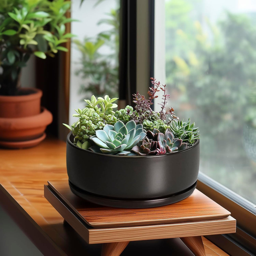 SQOWL Bonsai Pots - 8 Inch Ceramic Plant Pots for Succulents, Round Indoor Planter with Drainage Hole and Saucer