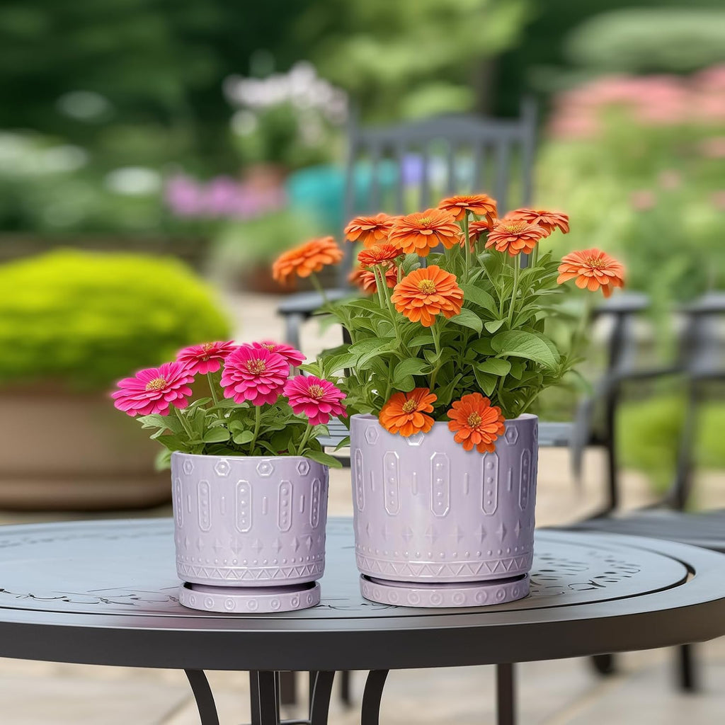 Eightpot Ceramic Pots for Plants, 6 Inch Plant Pot for Indoor Outdoor Plants, Round Planter with Drainage Holes and