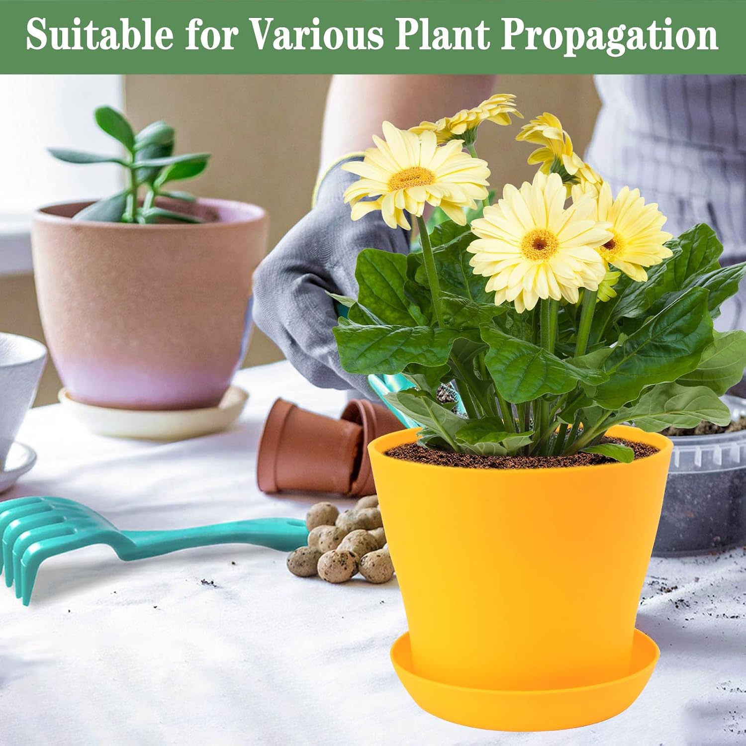 6.7 Inch Plant Pots Indoor Outdoor, 8 Pack Colorful Plant Flower Pots with Drainage Holes and Saucers Plastic Planters