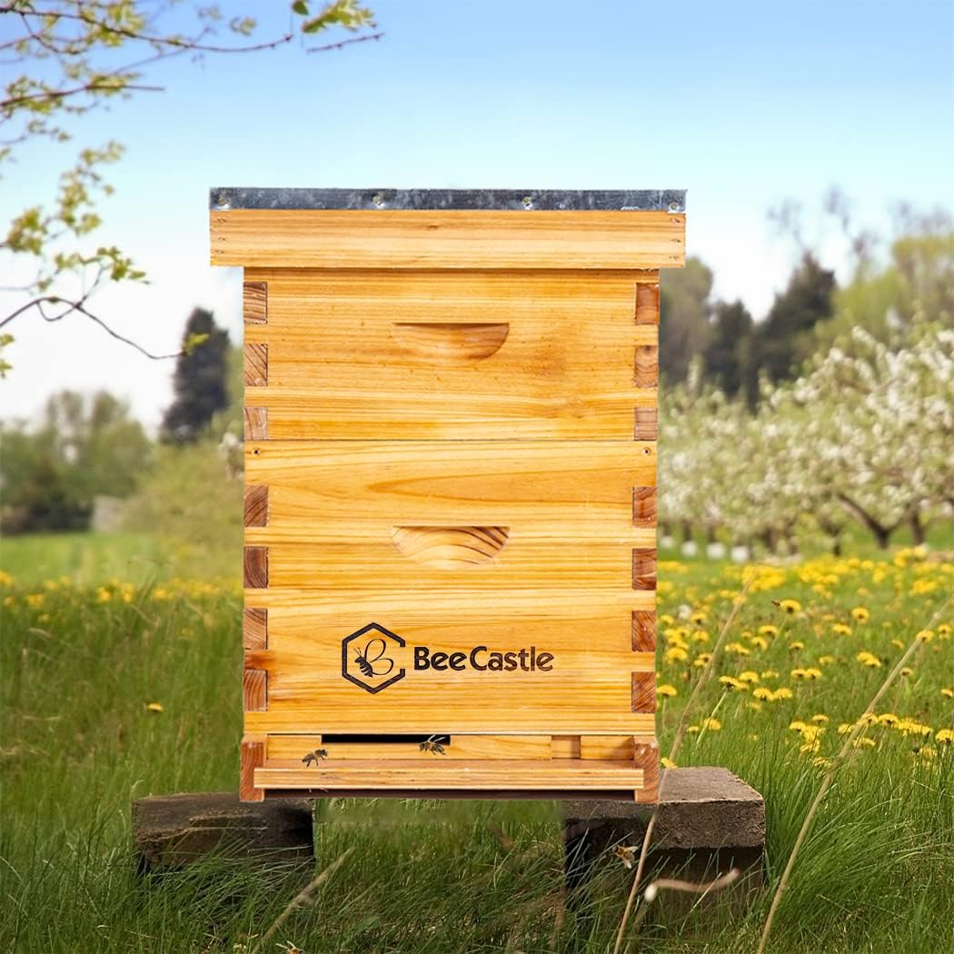 BeeCastle 8 Frame Langstroth Bee Hive Coated with Beeswax Includes Beehive Frames and Waxed Foundations (1 Deep Box & 1